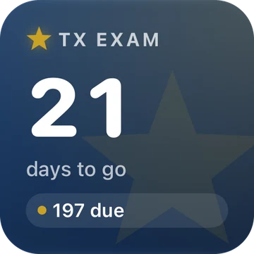 Small widget: 21 days to go, 197 reviews due